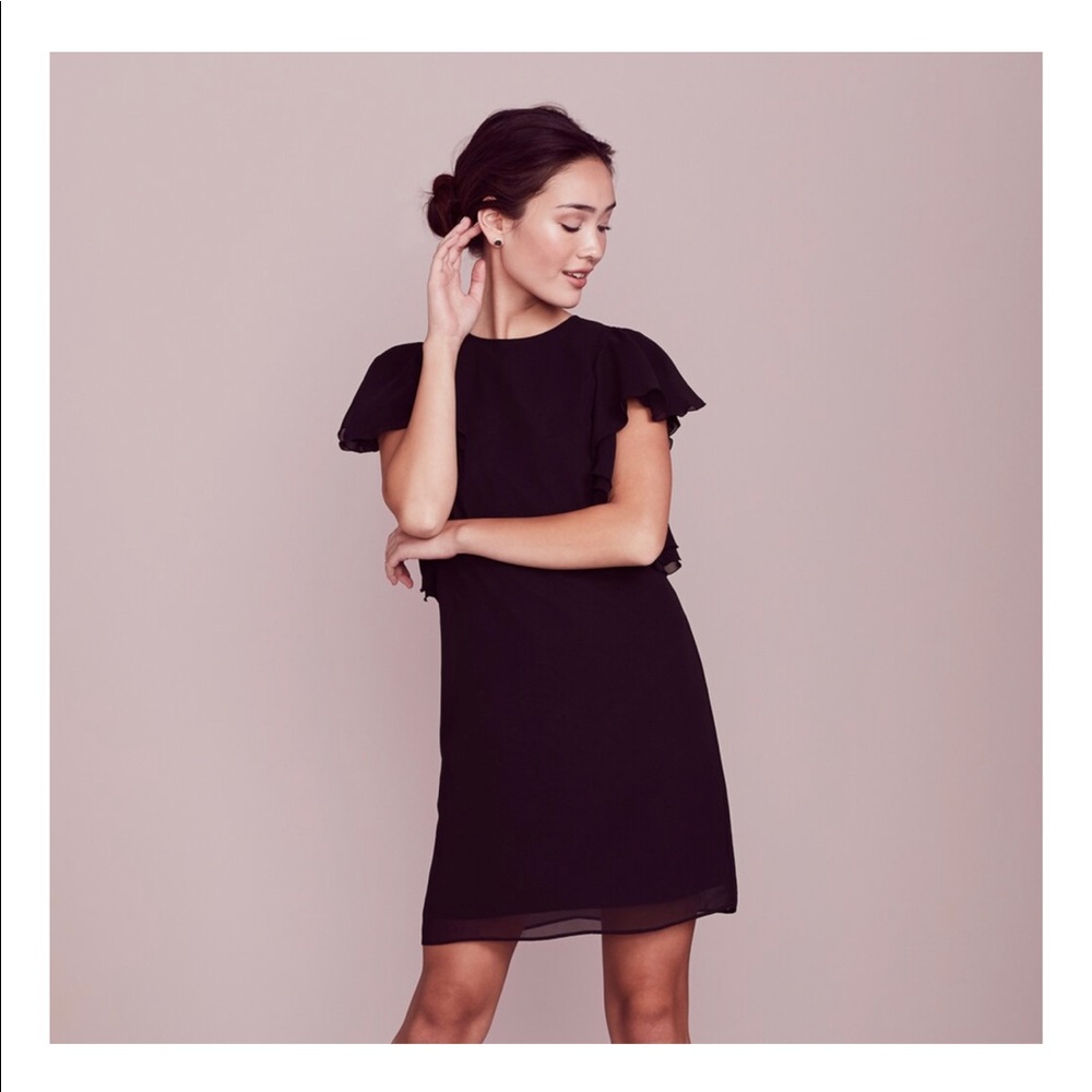 LC Lauren Conrad Shift Dress w/ Ruffle Sleeves